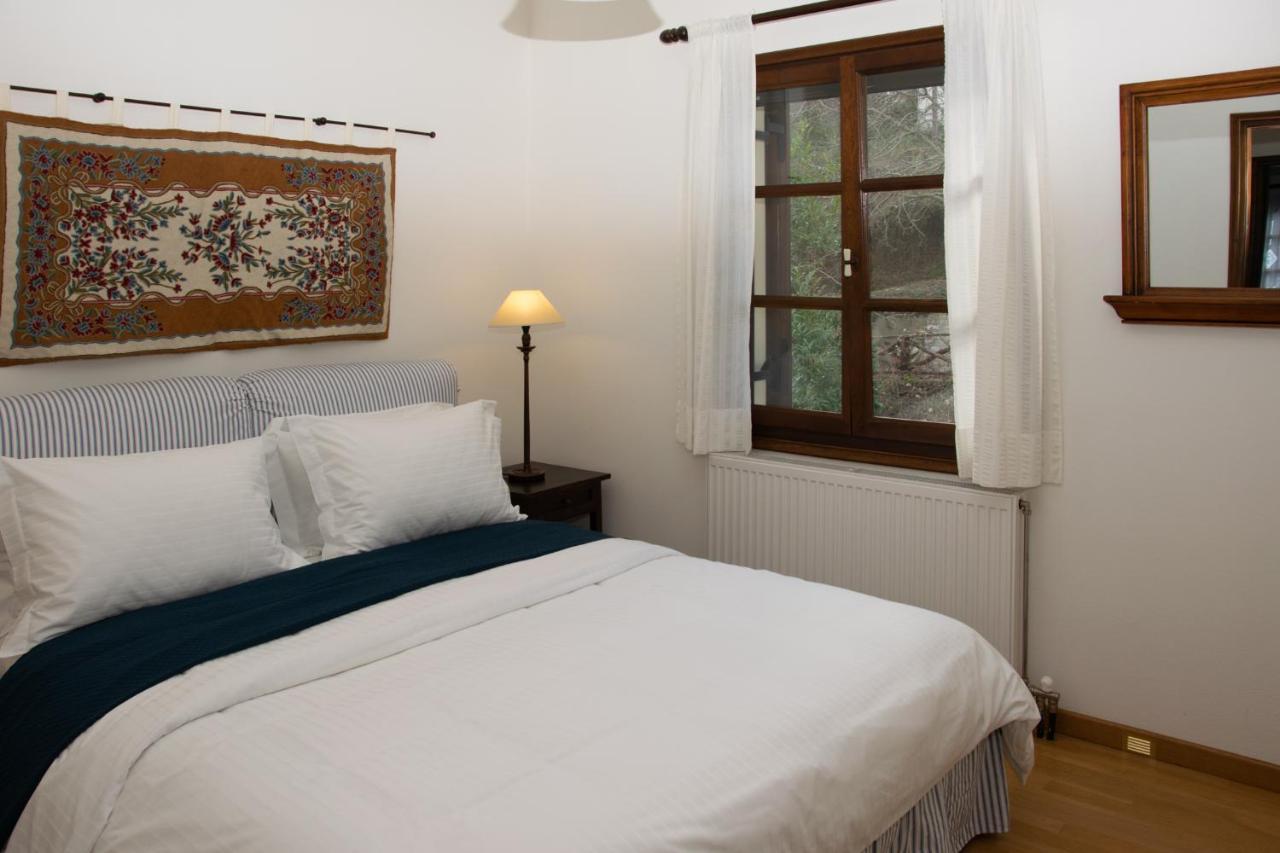 Θαλλώ Luxurious Villa Tsagkarada Dış mekan fotoğraf