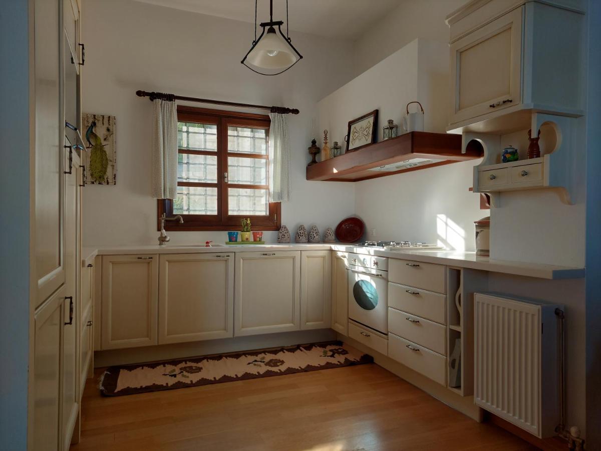 Θαλλώ Luxurious Villa Tsagkarada Dış mekan fotoğraf