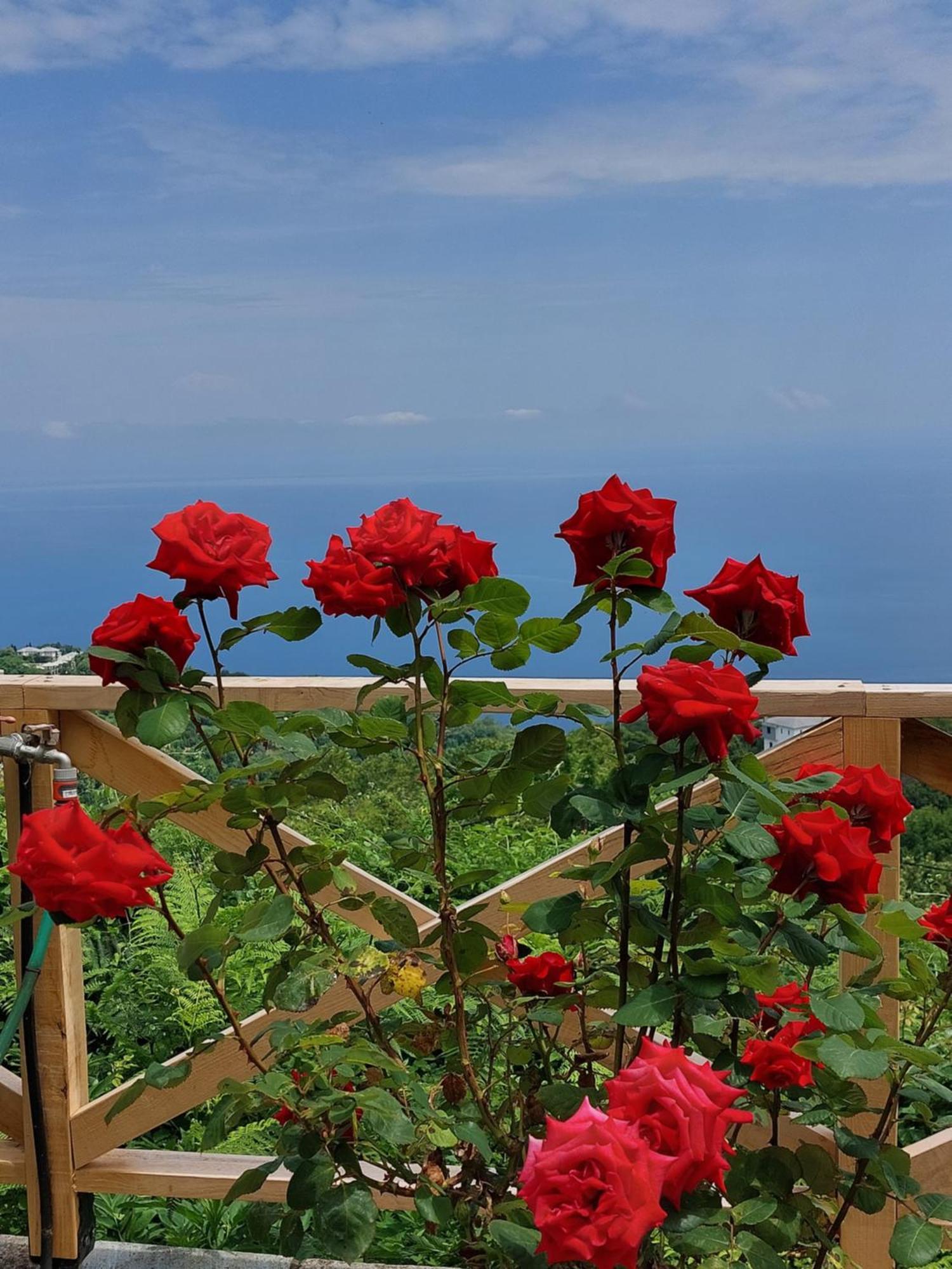 Θαλλώ Luxurious Villa Tsagkarada Dış mekan fotoğraf