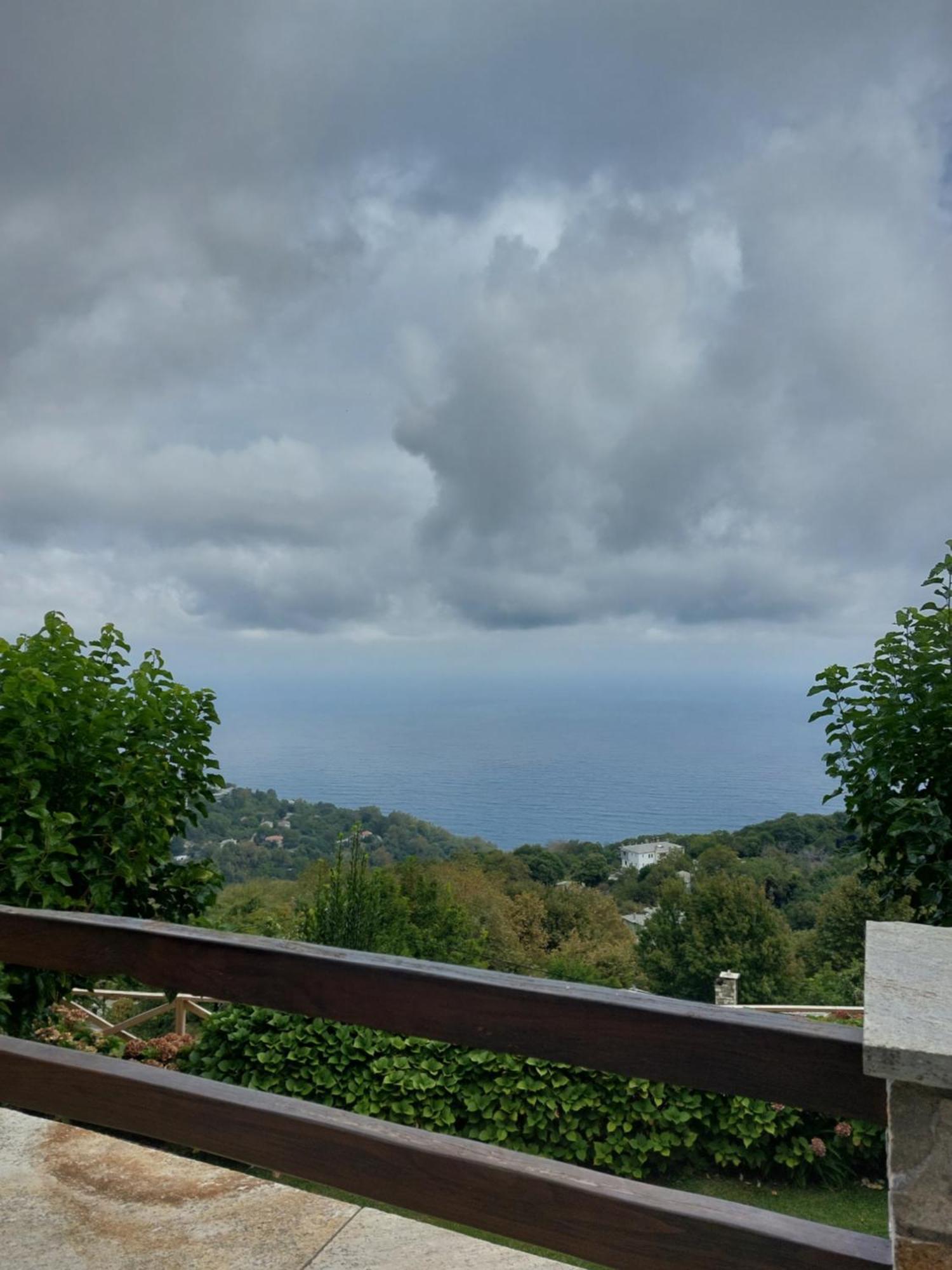 Θαλλώ Luxurious Villa Tsagkarada Dış mekan fotoğraf