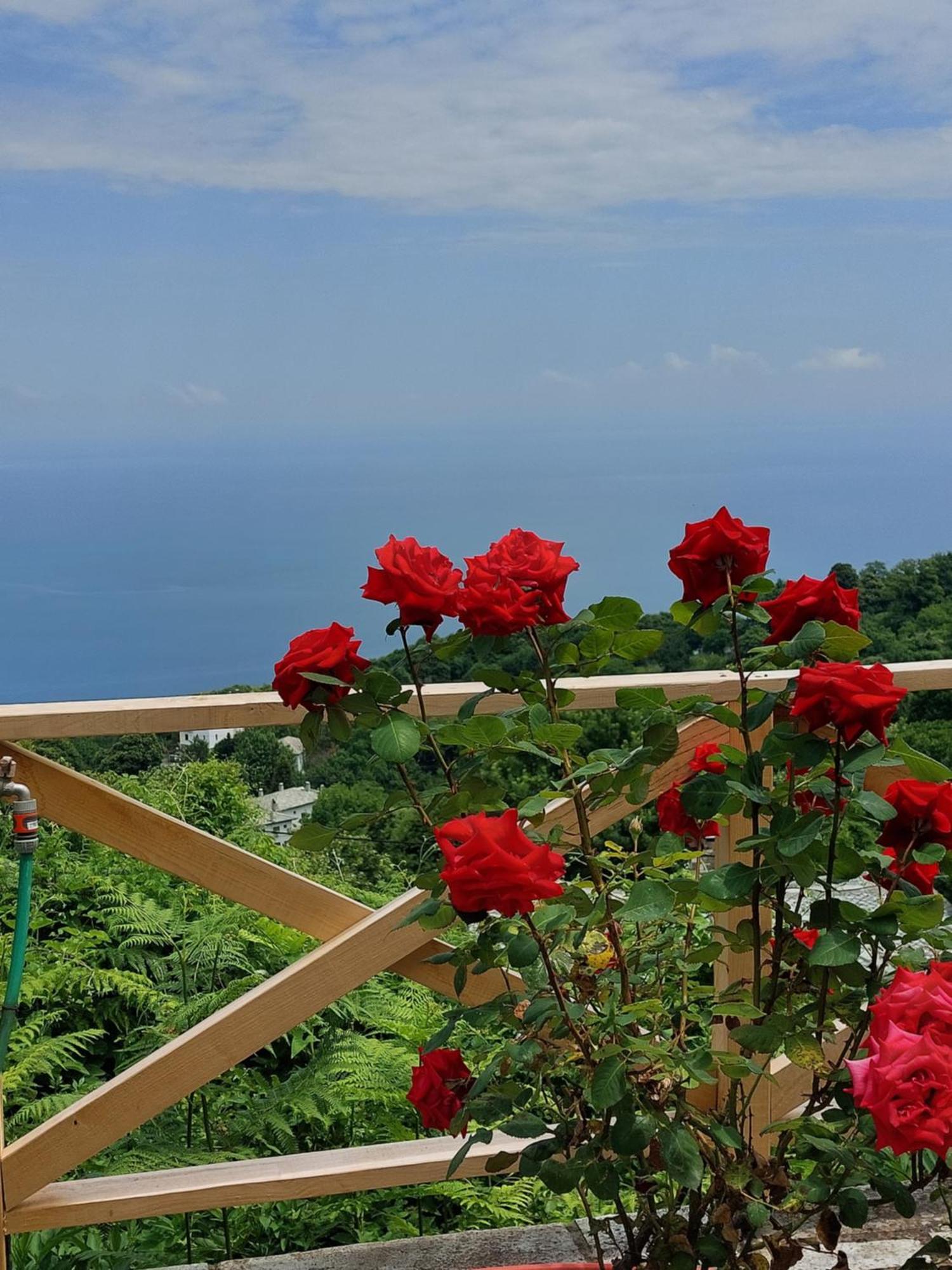 Θαλλώ Luxurious Villa Tsagkarada Oda fotoğraf