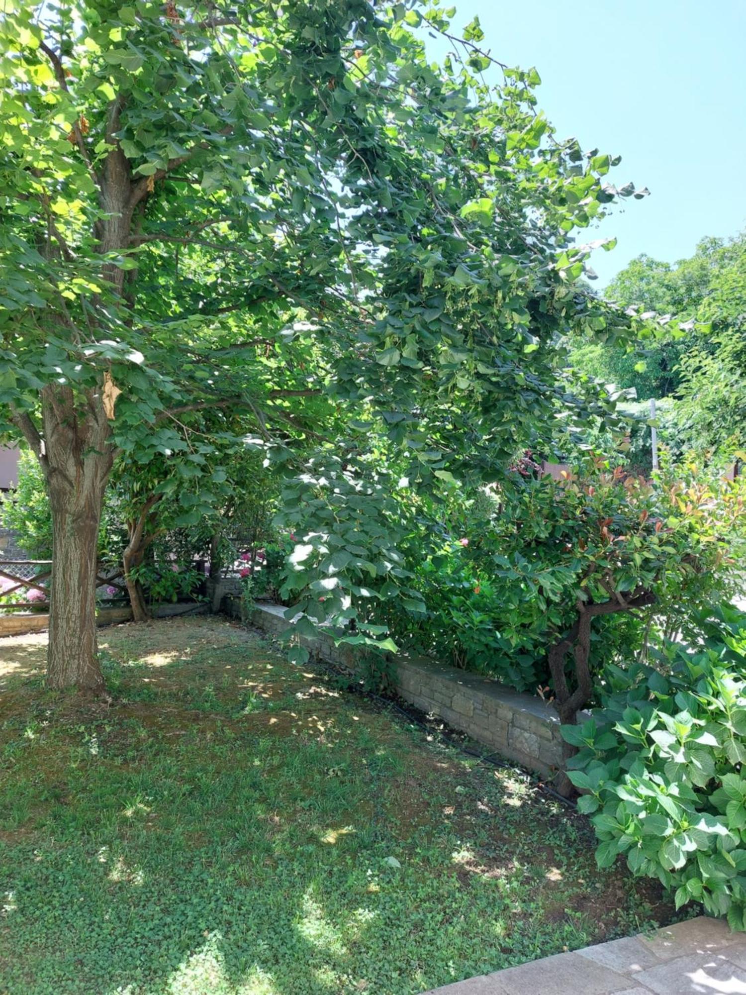Θαλλώ Luxurious Villa Tsagkarada Dış mekan fotoğraf