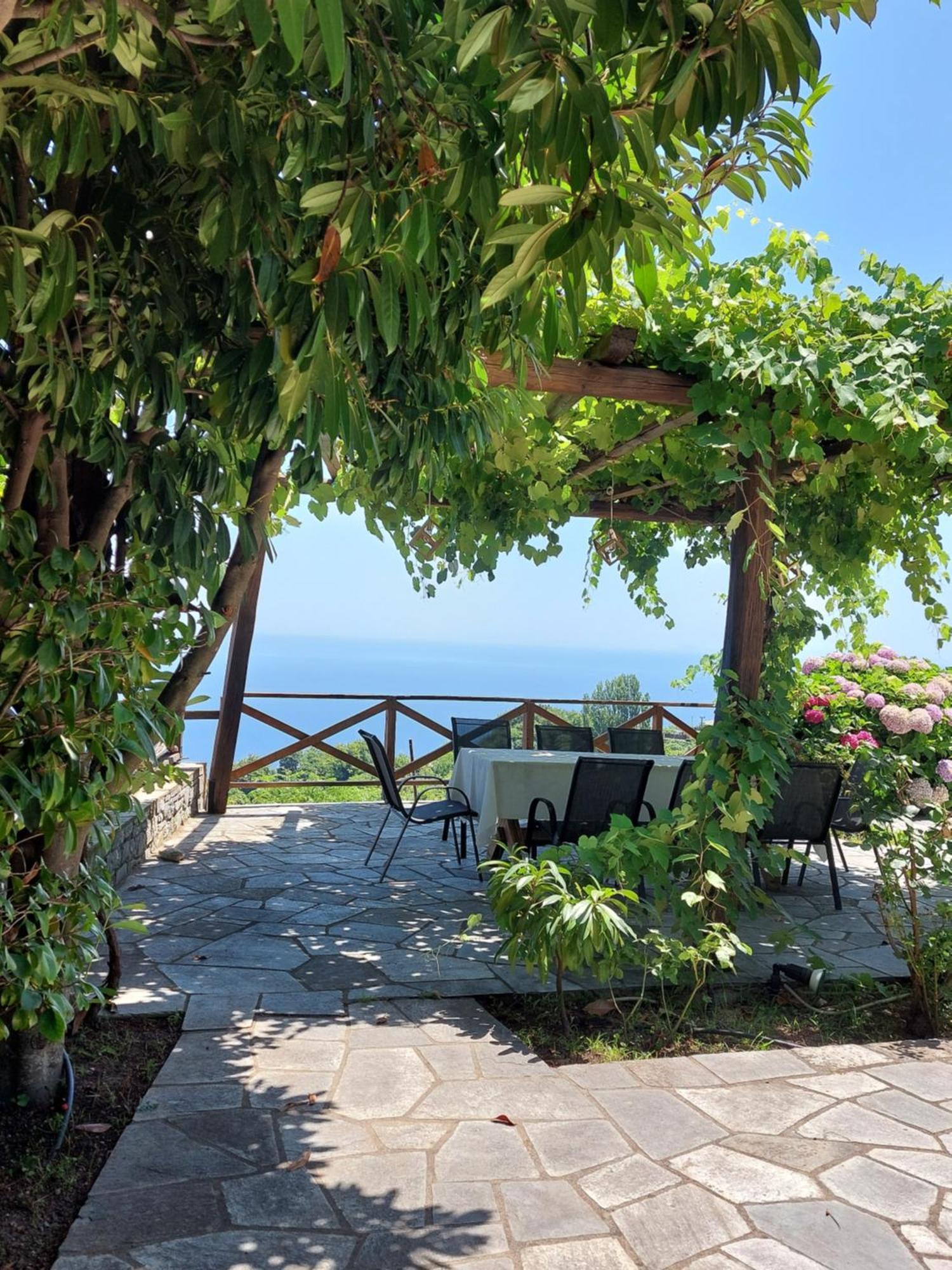 Θαλλώ Luxurious Villa Tsagkarada Dış mekan fotoğraf